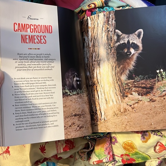 NEW Editors of Sunset Camp Sunset: A Modern Camper's Guide to the Great Outdoors - Picture 7 of 11